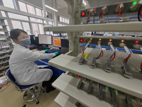 中國首創(chuàng)！洛陽牡丹殼變廢為寶，開啟鈉電池負(fù)極材料新紀(jì)元